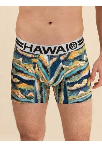 Bóxer Medio Hawai Verde Hawai