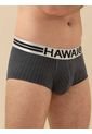 Bóxer Brief Hawai Gris de Hawai