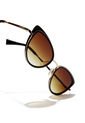 Gafas De Sol Hawkers Hombre Y Mujer Marron/Negro - FELINE de Hawkers