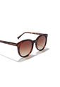 Gafas De Sol Hawkers Hombre Y Mujer RESORT. Marron/Marron de Hawkers