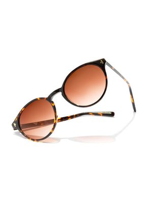 Gafas De Sol Hawkers Hombre Y Mujer SALT. Carey/Marron