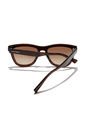 Gafas De Sol Hawkers Hombre Y Mujer DOWNTOWN MAX. Marron de Hawkers