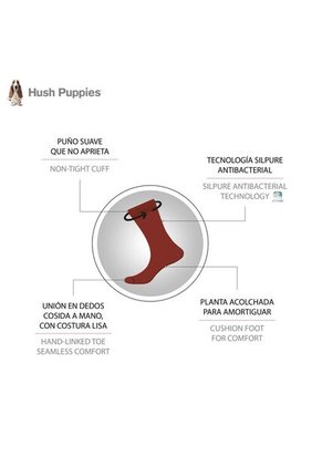 Calcetines Hush Puppies Hp Co Plain Cushionfoot Hombre HA110031157-188 Hush Puppies