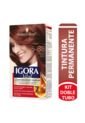 Tinte Igora Vital Castano Claro Rojizo+Doble Tbo Est 5-88 de Igora