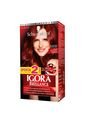 Tinte Igora Brillance Rojo Borgonia Intenso+Tubo Estuche 589 de Igora