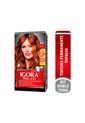Tinte Igora Brillance Permanente Topacio 757 de Igora