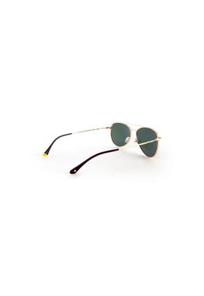 Gafas Invicta Eyewear Modelo I 22523-AVI-12 Dorado Hombre