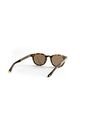 Gafas Invicta Eyewear Modelo I 12821-PRO-05 Havana Hombre de Invicta
