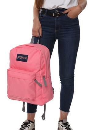 Morral Rosa-Gris  JanSport