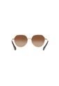 Gafas De Sol Kipling KP2023 Marrón Hombre Y Mujer de Kipling
