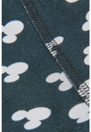 KOAJ BOXER KOAJ TORRED 111 2/22