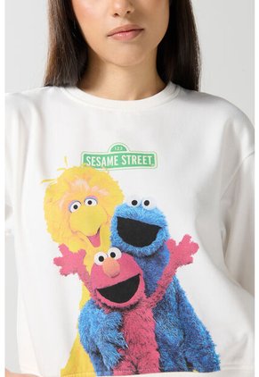 KOAJ BUZO CR KOAJ TIKAL 24471 2/25