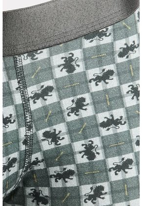 KOAJ BOXER KOAJ PM KIMT 23651 2/25