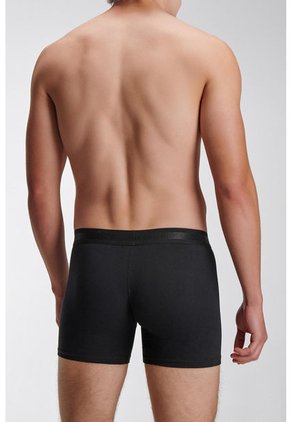 KOAJ BOXER KOAJ FLATCEFAS 6 1/22