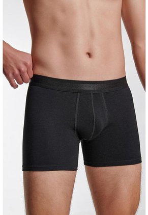 KOAJ BOXER KOAJ FLATCEFAS 6 1/22