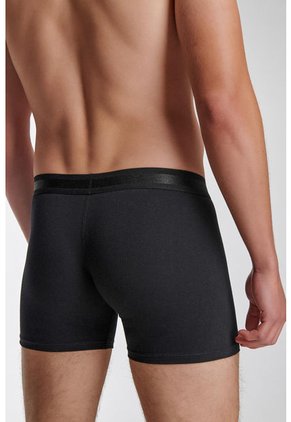 KOAJ BOXER KOAJ FLATCEFAS 6 1/22