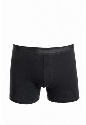 KOAJ BOXER KOAJ FLATCEFAS 6 1/22