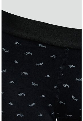 KOAJ BOXER KOAJ PIERNA MEDIA 31326 1/26