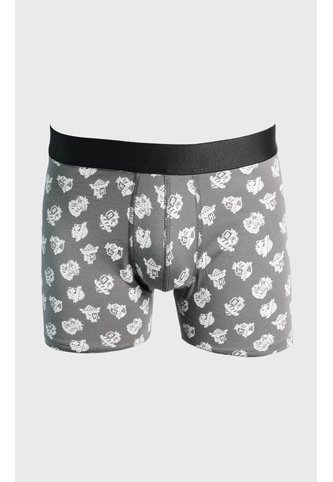 KOAJ BOXER KOAJ PM BORR 23646 2/25 Koaj