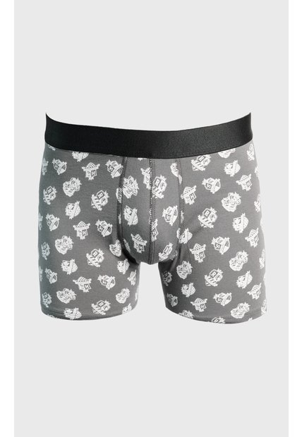KOAJ BOXER KOAJ PM BORR 23646 2/25