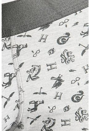 KOAJ BOXER KOAJ PM COBH 23645 2/25