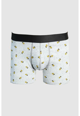 KOAJ BOXER KOAJ PIERNA MEDIA 26123 3/25 Koaj