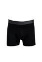 KOAJ BOXER KOAJ PIERNA MEDIA 31324 1/26 de Koaj