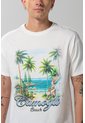 CAMISETA KOAJ 19371 1/25 de Koaj