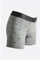 KOAJ BOXER KOAJ PIERNA MEDIA 15513 4/24 de Koaj