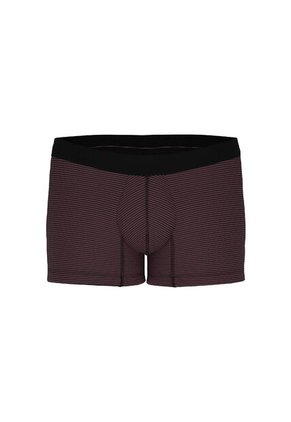 KOAJ BOXER KOAJ PIERNA CORTA 15649 4/24