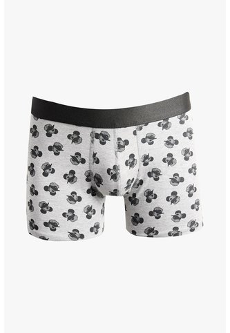 KOAJ BOXER KOAJ PIERNA MEDIA 21377 1/25 Koaj