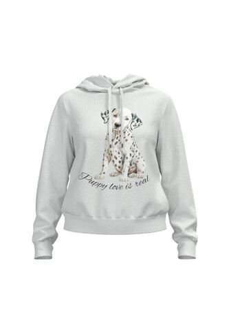 KOAJ BUZO CAPOTA KOAJ 18654 1/25 Koaj