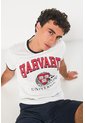 KOAJ CAMISETA KOAJ ZATURNOL 15866 4/24 de Koaj
