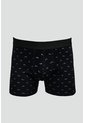 KOAJ BOXER KOAJ PIERNA MEDIA 31326 1/26 de Koaj