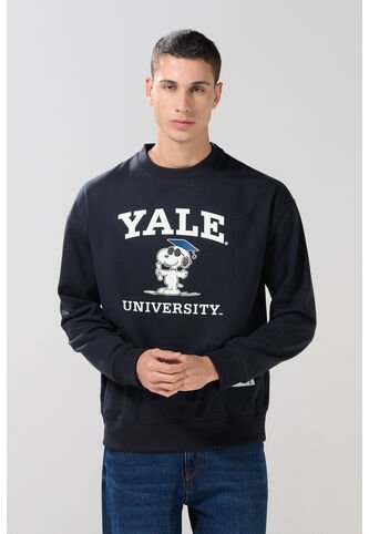 KOAJ BUZO CR KOAJ GRADNOP 29205 4/25 Koaj