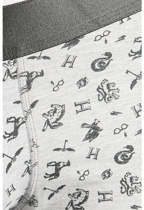 KOAJ BOXER KOAJ PM COBH  23645 2/25