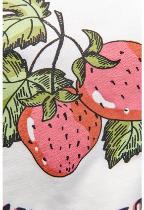 KOAJ-SUETER KOAJ NORTYK B1 1/22