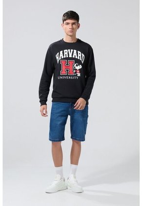 KOAJ BUZO CR KOAJ ELVARD 27650 4/25