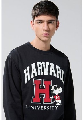 KOAJ BUZO CR KOAJ ELVARD 27650 4/25