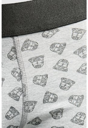 KOAJ BOXER KOAJ PIERNA MEDIA 22907 2/25