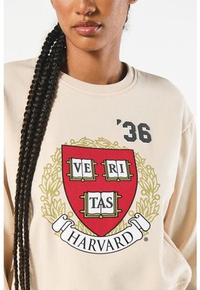 KOAJ SUETER KOAJ LOIZ 19628 1/25