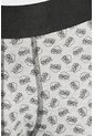 KOAJ BOXER KOAJ PIERNA LARGA 27722 4/25 de Koaj