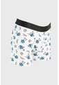 KOAJ BOXER KOAJ PM LUO 23642 2/25 de Koaj