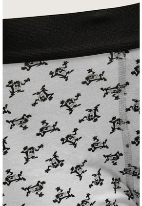 KOAJ BOXER KOAJ PIERNA MEDIA 28600 4/25