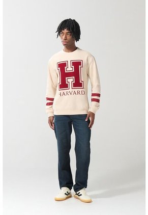 KOAJ SUETER KOAJ TARVAK 19557 1/25