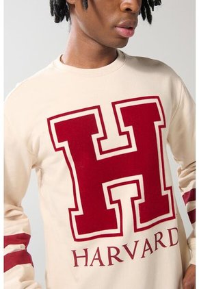 KOAJ SUETER KOAJ TARVAK 19557 1/25