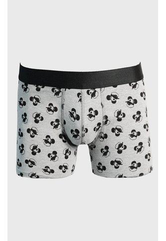 KOAJ BOXER KOAJ PIERNA MEDIA 24950 1/25 Koaj