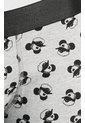 KOAJ BOXER KOAJ PIERNA MEDIA 24950 1/25 de Koaj