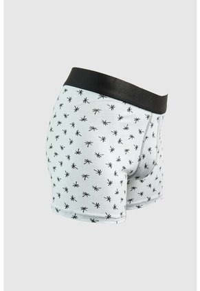 KOAJ BOXER KOAJ PIERNA LARGA 22912 2/25