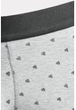 KOAJ BOXER KOAJ PIERNA LARGA 12466 3/24 de Koaj